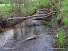 Biebrza Nationalpark