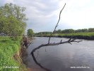 Biebrza Nationalpark