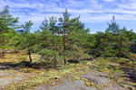 Kosterhavets Nationalpark, Schweden