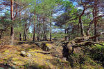 Kosterhavets Nationalpark, Schweden