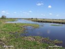 Narew Nationalpark