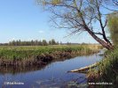 Narew Nationalpark