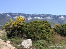 Nationalpark Ainos