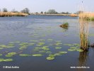 Nationalpark Alde Feanen