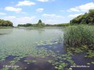 Nationalpark Balatonfelvidéki