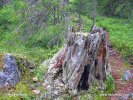 Nationalpark Björnlandet