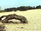 Nationalpark De Loonse en Drunense Duinen