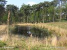 Nationalpark De Maasduinen