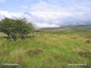 Nationalpark Exmoor