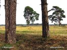 Nationalpark Hoge Veluwe