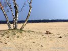 Nationalpark Hoge Veluwe