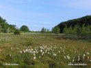 Nationalpark Jasmund