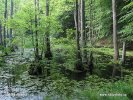 Nationalpark Jasmund