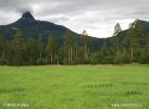 Nationalpark Junkerdal