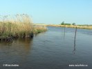 Nationalpark Lauwersmeer