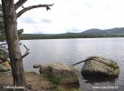 Nationalpark Loch Cairngorms