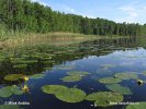 Nationalpark Müritz