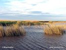 Nationalpark Neusiedler See-Seewinkel