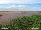 Nationalpark Neusiedler See-Seewinkel