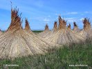 Nationalpark Neusiedler See-Seewinkel