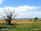 Nationalpark Neusiedler See-Seewinkel