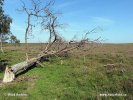 Nationalpark New Forest