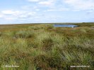 Nationalpark North York Moors