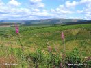 Nationalpark Northumberland