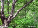 Nationalpark Paklenica