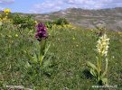 Nationalpark Pindos/Valia Calda