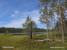 Nationalpark Pyhä-Häki
