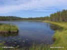 Nationalpark Pyhä-Häki