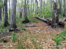 Nationalpark Risnjak