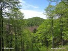 Nationalpark Risnjak