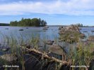 Nationalpark Salamajärvi