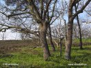 Nationalpark Sallandse Heuvelrug