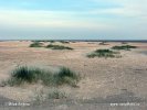 Nationalpark Schleswig-Holsteinisches Wattenmeer