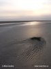 Nationalpark Schleswig-Holsteinisches Wattenmeer