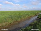 Nationalpark Schleswig-Holsteinisches Wattenmeer