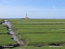 Nationalpark Schleswig-Holsteinisches Wattenmeer