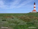 Nationalpark Schleswig-Holsteinisches Wattenmeer