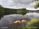 Nationalpark Seitseminen