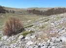 Nationalpark Sjeverni Velebit