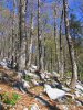 Nationalpark Sjeverni Velebit