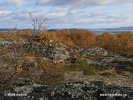 Nationalpark Stabbursdalen