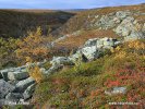 Nationalpark Varanger (Varangerhalvøya)