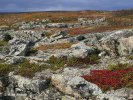 Nationalpark Varanger (Varangerhalvøya)