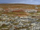 Nationalpark Varanger (Varangerhalvøya)