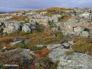 Nationalpark Varanger (Varangerhalvøya)