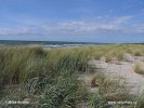 Nationalpark Vorpommersche Boddenlandschaf